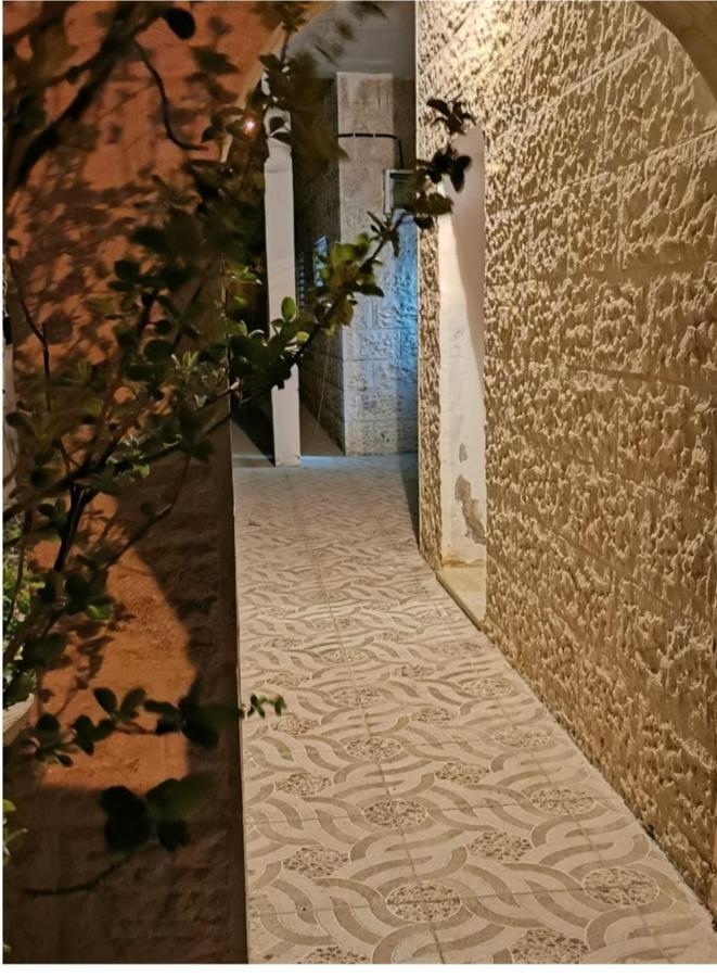 וואדי מוסא Orchid Apartment מראה חיצוני תמונה